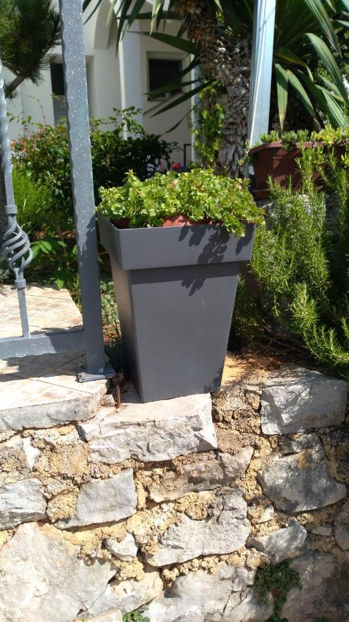 Apartmani Darko Kornic Luaran gambar